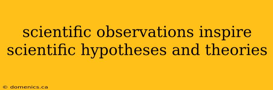 scientific observations inspire scientific hypotheses and theories