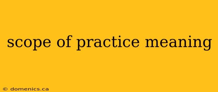 scope of practice meaning