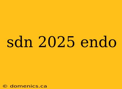 sdn 2025 endo