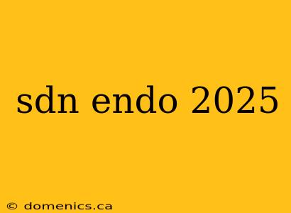 sdn endo 2025