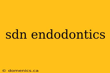 sdn endodontics