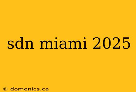 sdn miami 2025