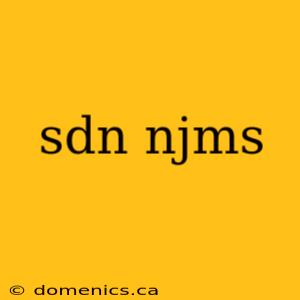 sdn njms