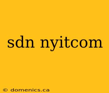 sdn nyitcom