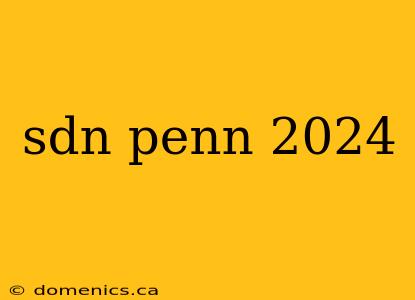 sdn penn 2024