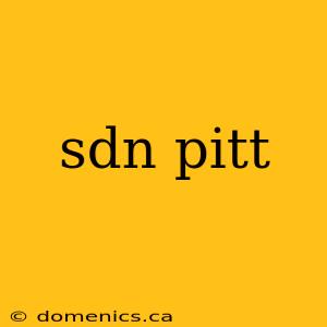 sdn pitt