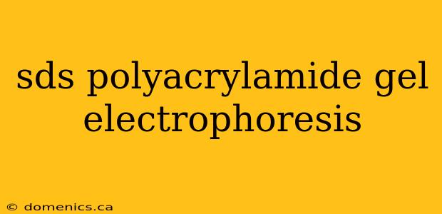 sds polyacrylamide gel electrophoresis