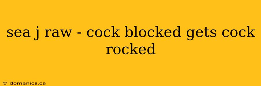 sea j raw - cock blocked gets cock rocked