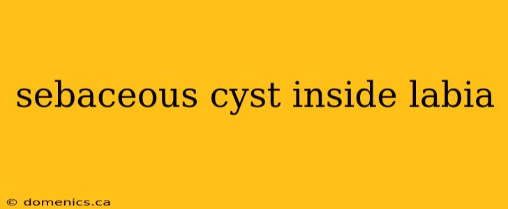 sebaceous cyst inside labia