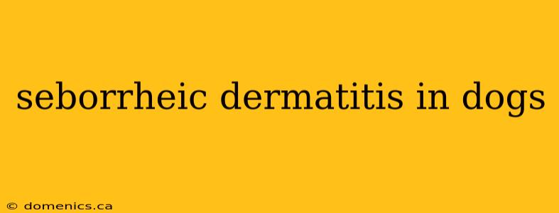 seborrheic dermatitis in dogs