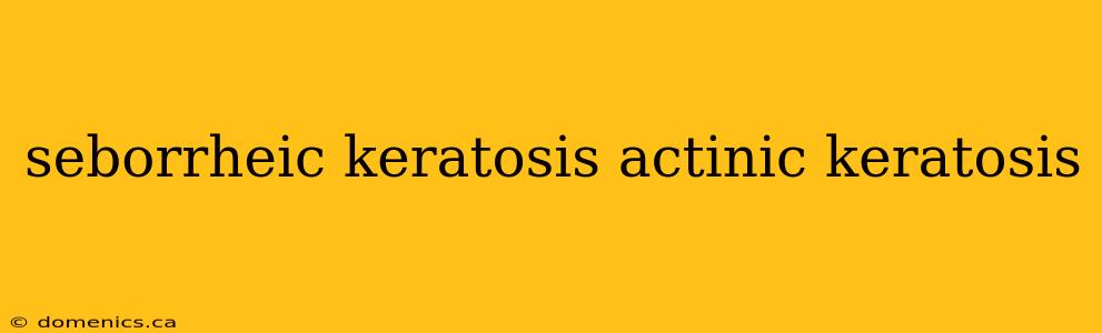 seborrheic keratosis actinic keratosis