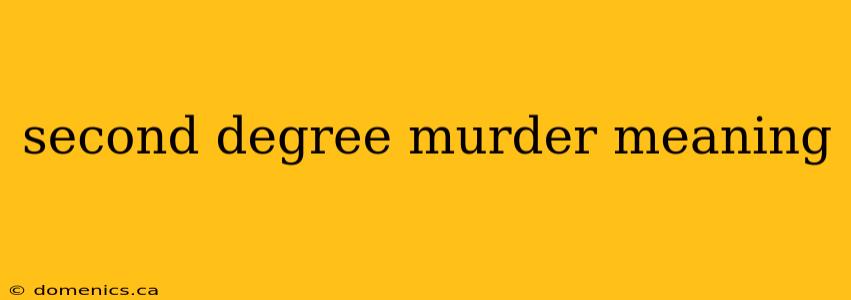 second degree murder meaning