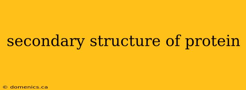 secondary structure of protein