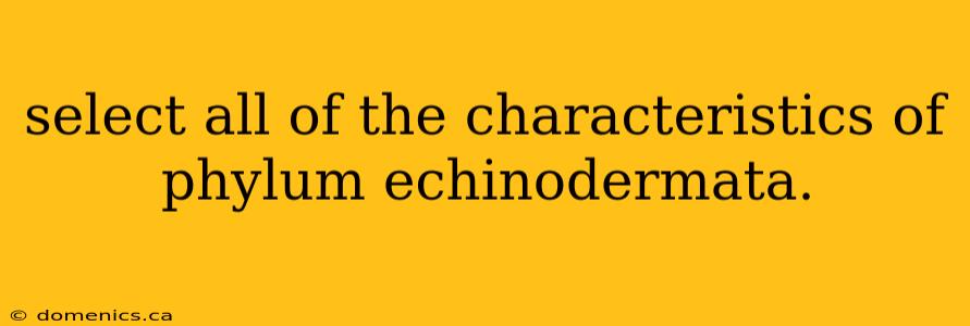 select all of the characteristics of phylum echinodermata.