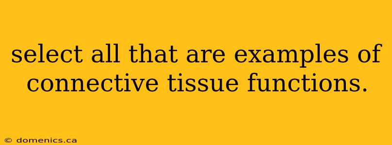 select all that are examples of connective tissue functions.