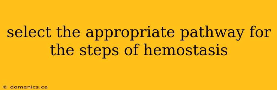 select the appropriate pathway for the steps of hemostasis