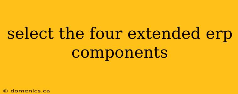 select the four extended erp components