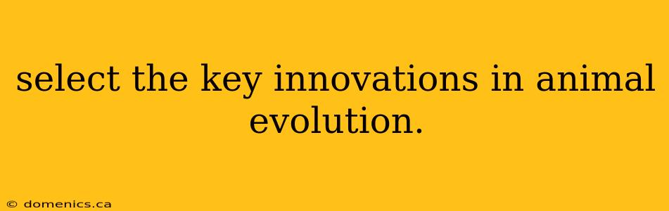 select the key innovations in animal evolution.