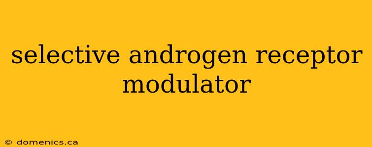 selective androgen receptor modulator