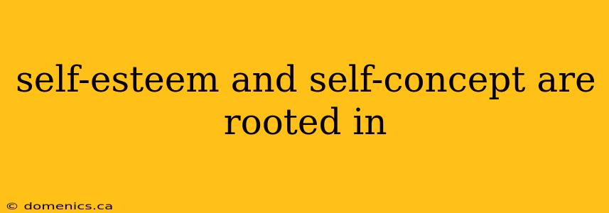 self-esteem and self-concept are rooted in