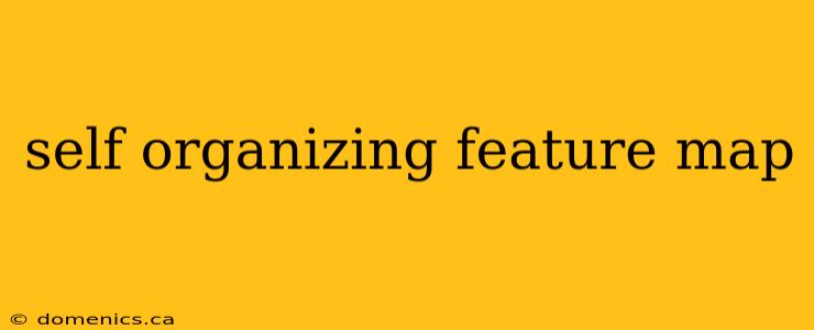 self organizing feature map