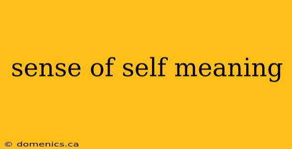 sense of self meaning