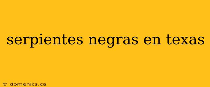 serpientes negras en texas