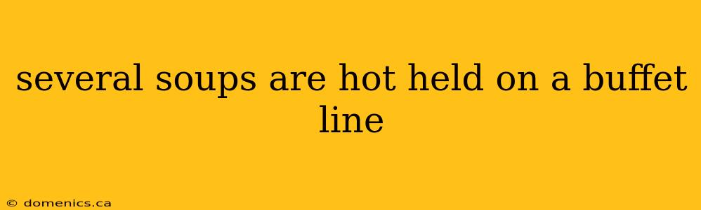 several soups are hot held on a buffet line