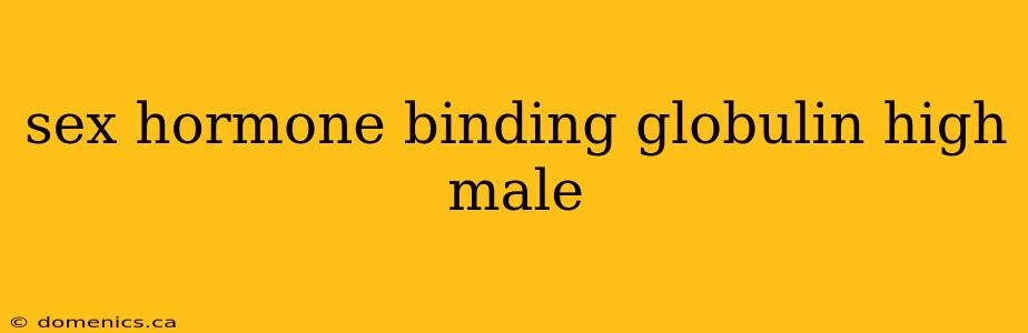 sex hormone binding globulin high male