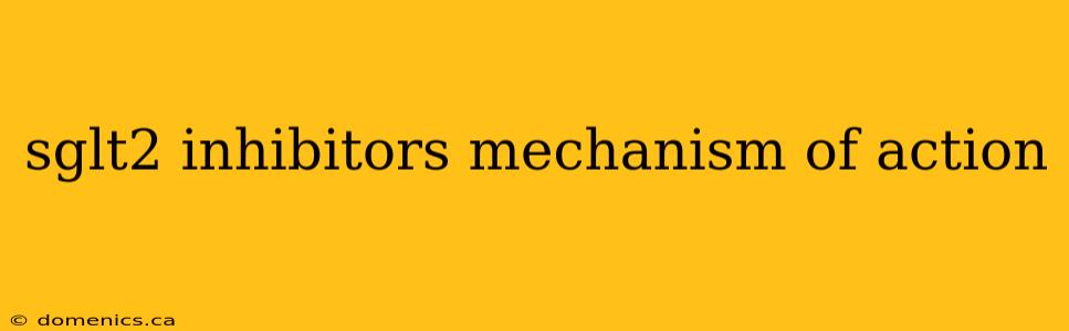 sglt2 inhibitors mechanism of action