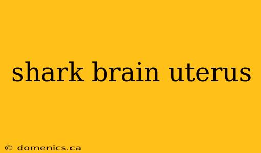 shark brain uterus