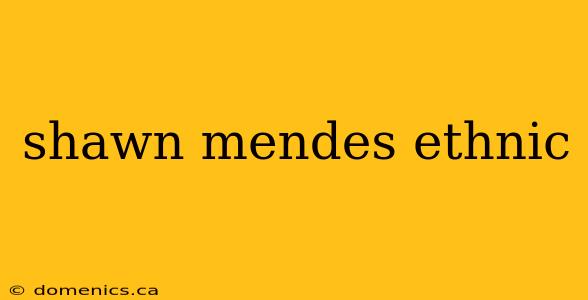 shawn mendes ethnic