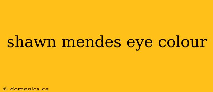 shawn mendes eye colour