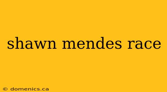 shawn mendes race