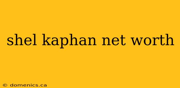 shel kaphan net worth