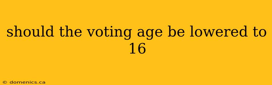 should the voting age be lowered to 16