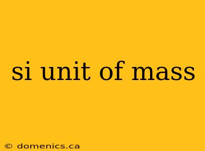 si unit of mass