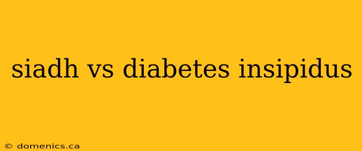 siadh vs diabetes insipidus