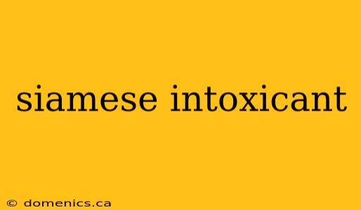 siamese intoxicant