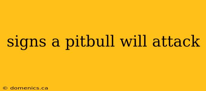 signs a pitbull will attack