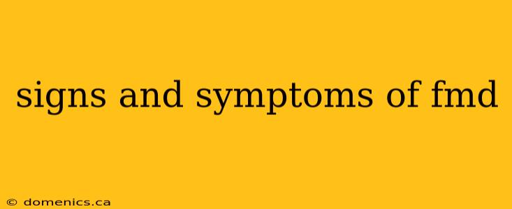 signs and symptoms of fmd