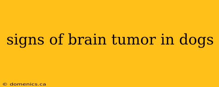 signs of brain tumor in dogs