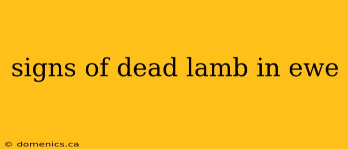 signs of dead lamb in ewe