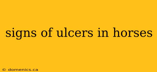 signs of ulcers in horses