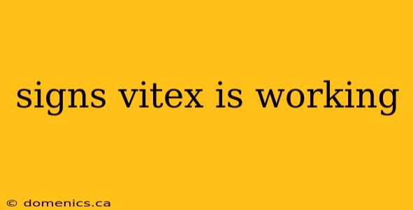 signs vitex is working