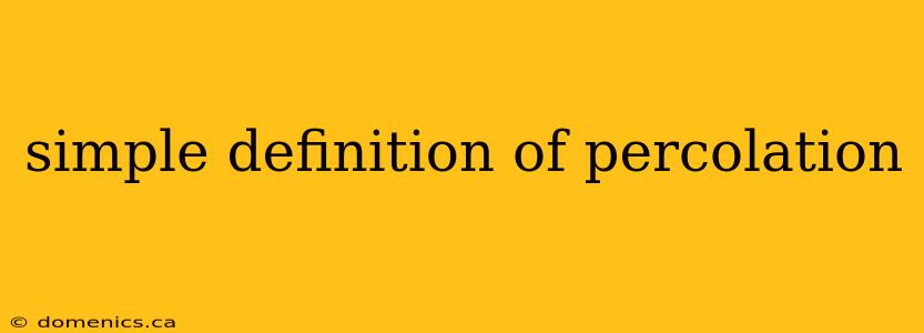 simple definition of percolation