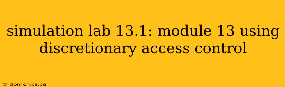 simulation lab 13.1: module 13 using discretionary access control