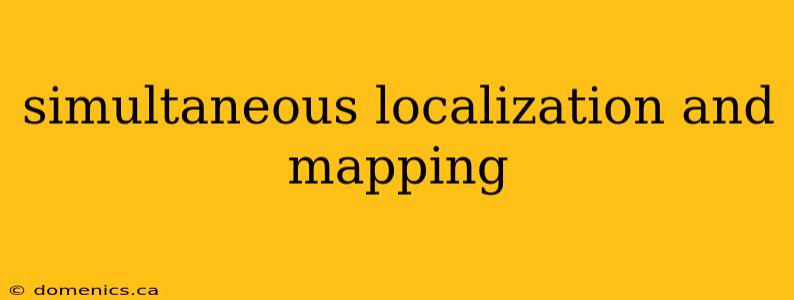 simultaneous localization and mapping