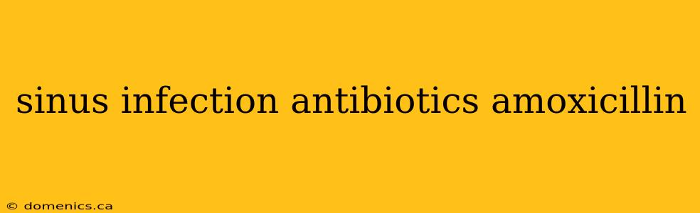 sinus infection antibiotics amoxicillin