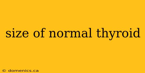 size of normal thyroid